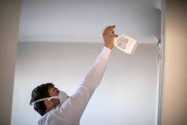 Best Bathroom Mold Remediation in Johnson City, KS