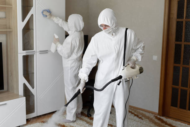 Best HVAC Mold Remediation in Johnson City, KS